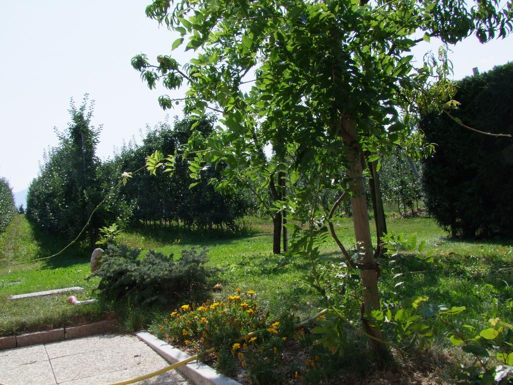 Ferienwohnung Agritur Fior Di Melo Nanno Exterior foto